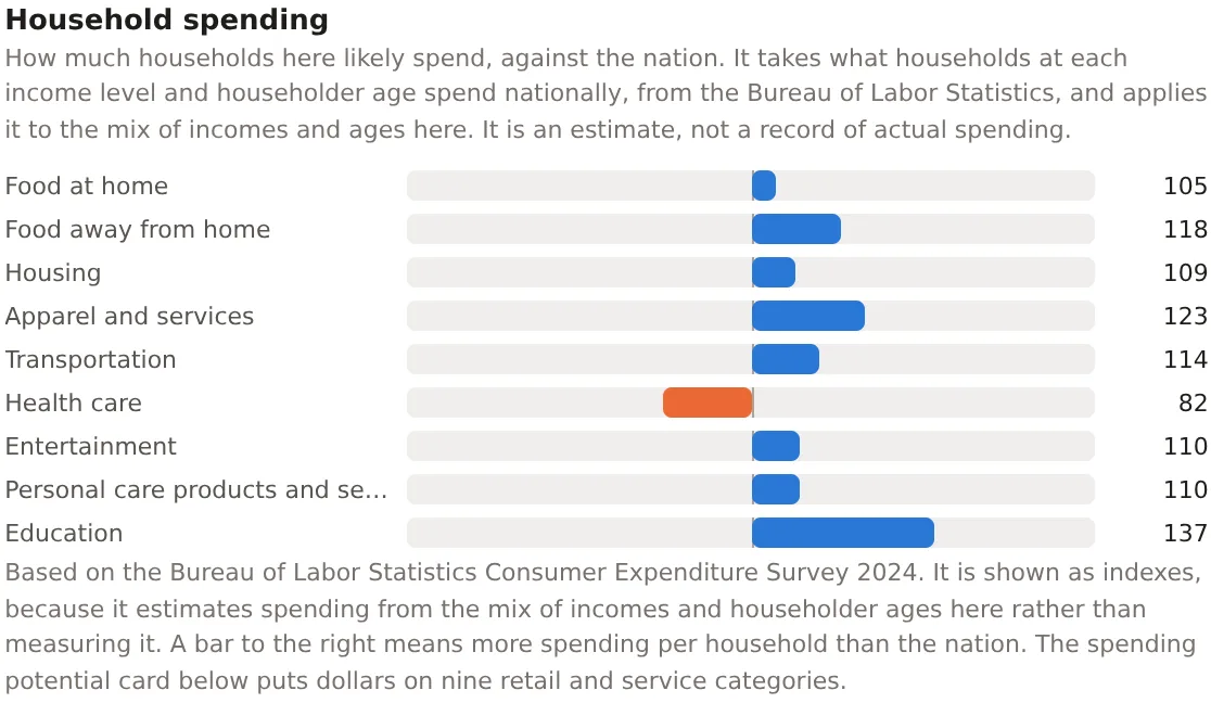 The Household spending card for the Downtown Dallas project, the nine categories as bars either side of 100 with their indexes